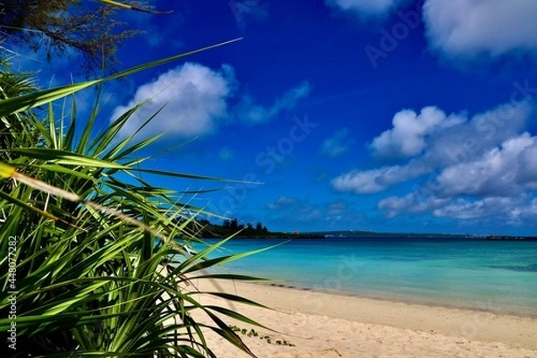 Obraz 夏のパイナガマビーチ