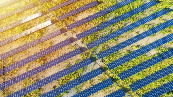 Fototapeta Many rows of solar panels with sunlight top view. Aerial view of big sustainable electric power plant for producing clean ecological electrical energy. Renewable electricity with zero emission concept