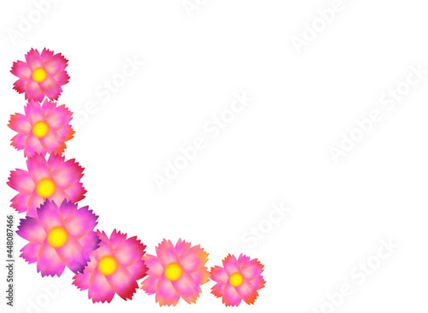 Obraz コスモスのフレーム