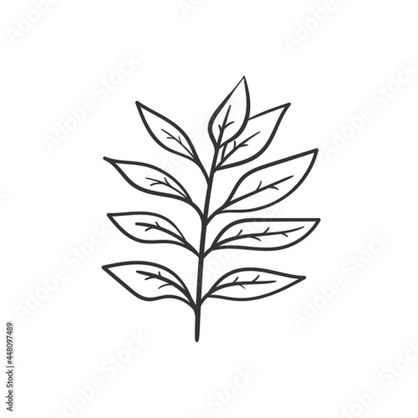 Fototapeta Hand drawn autumn leaves doodle colorless illustrations. Сute vector objects. Illustrations for poster, background or card.