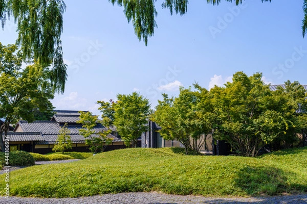 Fototapeta 日本の庭園