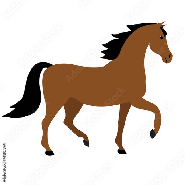 Fototapeta Vector flat cartoon horse isolated on white background