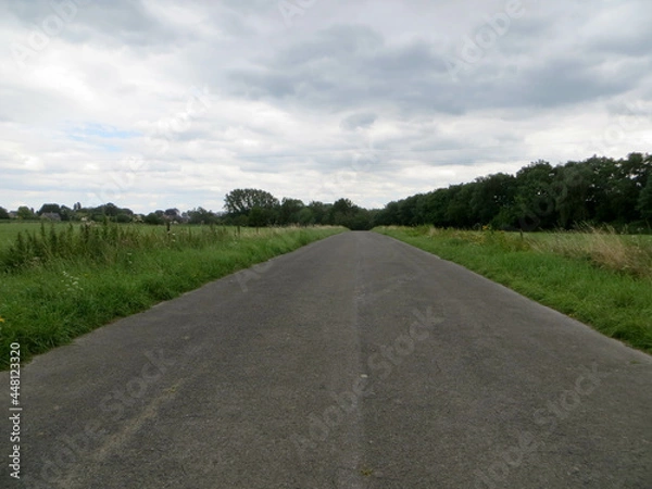 Obraz Longue route au milieu des prés sous un ciel nuageux