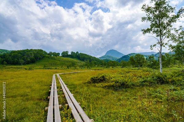 Obraz 志賀高原湿地帯の散策風景