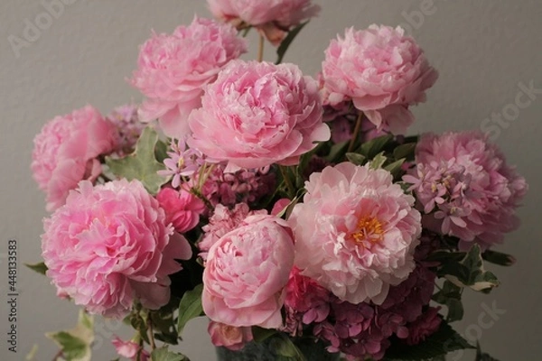 Obraz サラ・ベルナール