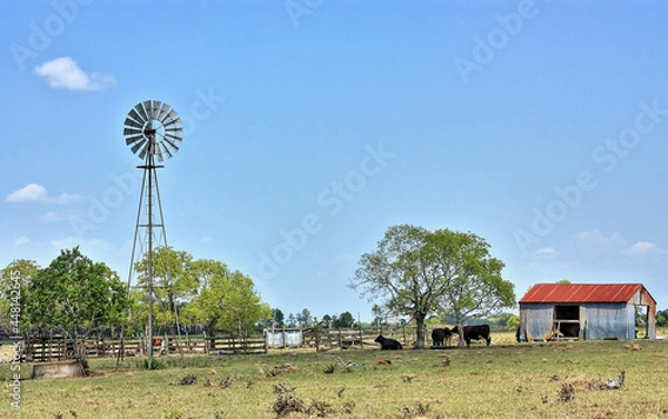 Obraz Sealy Texas Windmill and Red Roof