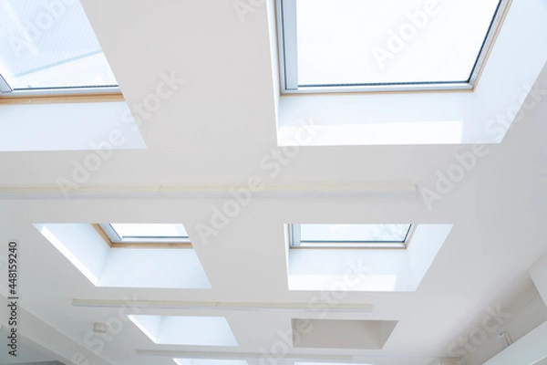 Obraz 天井・天窓・窓