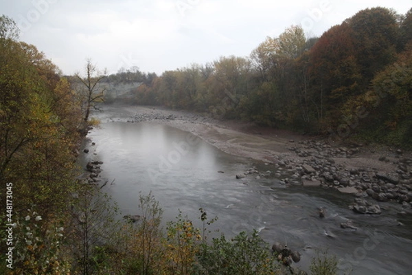 Obraz river in the forest