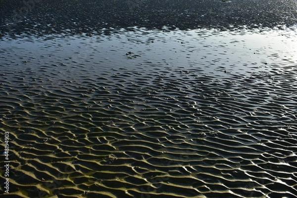 Fototapeta Texture on the seaside