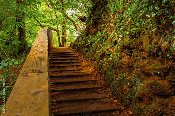 Fototapeta Wooden footpath in a park