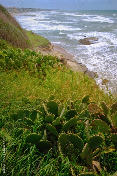 Obraz Green vegetation and plants on a cliff in front of sea waves