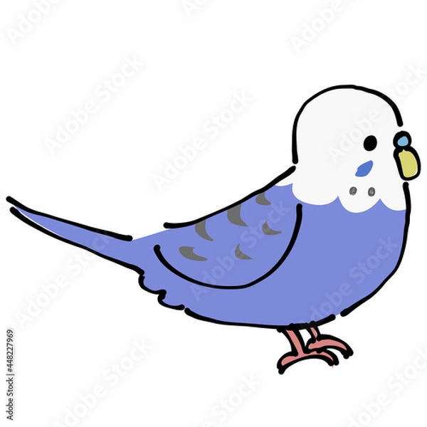 Fototapeta 紫のセキセイインコ　横