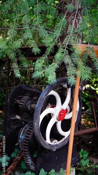 Obraz Tanne mit einem Rad 