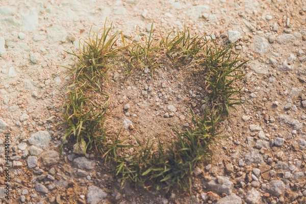 Obraz Grasherz auf hellbraunem Boden