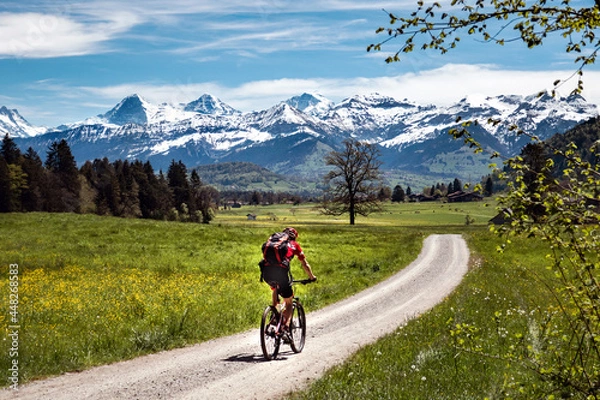 Obraz Ein Fahrradfahrer fährt an einem schönen Frühlingstag Richtung berner Alpen, durch das Stockental, berner Oberland, Schweiz. Biken, Radweg, Sport, radfahren, Mann, allein, Landschaft, Alpen.