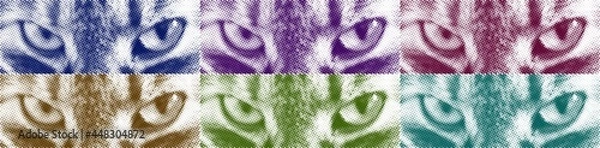 Obraz Halftone vector cat eyes collage. Design for banners and printing.
