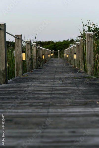 Fototapeta Walkway at the beach made of wood with grass growing on the sides. 