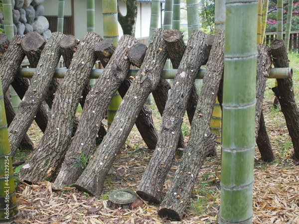 Obraz 竹林でシイタケ栽培