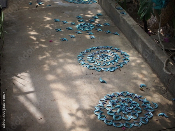 Obraz ヒスイカズラ