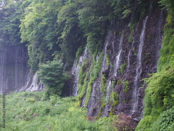 Fototapeta 富士宮　白糸の滝
