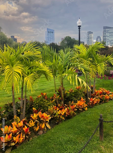 Obraz Beautiful garden in a Boston park with background of buildings