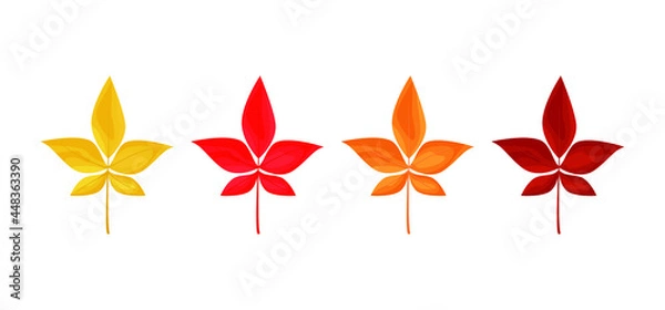 Fototapeta Autumn leaves icons isolated on white background. Simple cartoon flat style. Isolated vector illustration. Design for seasonal holiday greeting card, stickers, logo, web and mobile app.