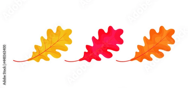 Fototapeta Autumn oak leaves icons isolated on white background. Simple cartoon flat style. Isolated vector illustration. Design for seasonal holiday greeting cards, stickers, logo, web and mobile app