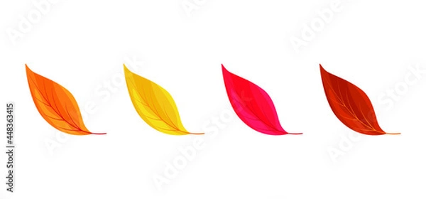 Fototapeta Autumn leaves icons isolated on white background. Simple cartoon flat style. Isolated vector illustration. Design for seasonal holiday greeting card, stickers, logo, web and mobile app.