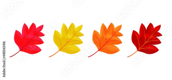 Fototapeta Autumn leaves icons isolated on white background. Simple cartoon flat style. Isolated vector illustration. Design for seasonal holiday greeting cards, stickers, logo, web and mobile app.
