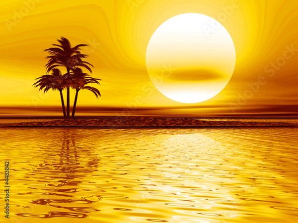 Fototapeta Paesaggio con palma