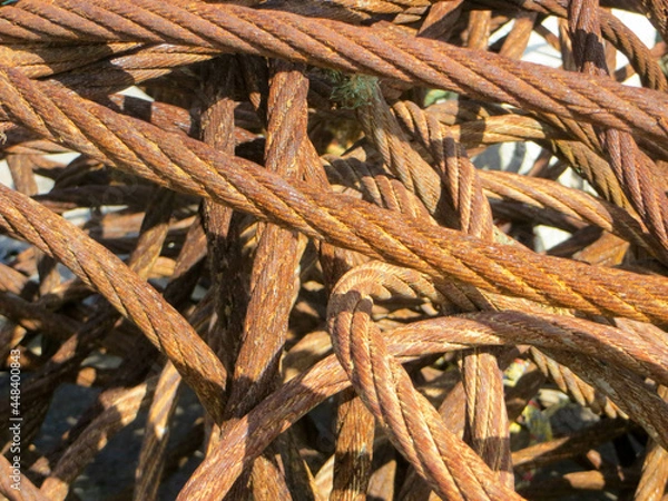 Obraz Cordes usées et entrelacées sous le soleil