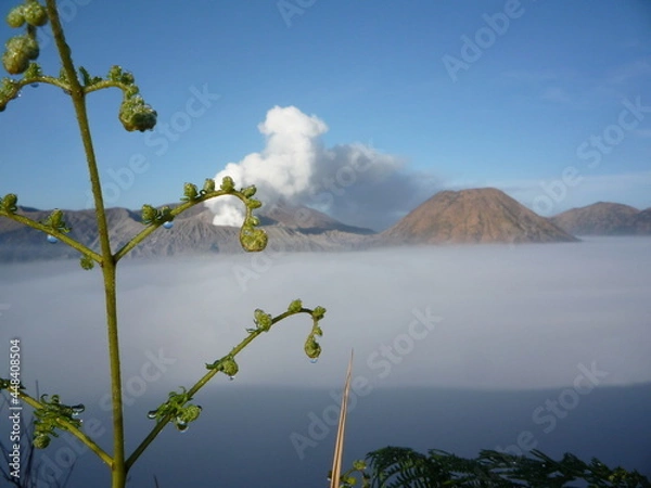 Fototapeta mountain view