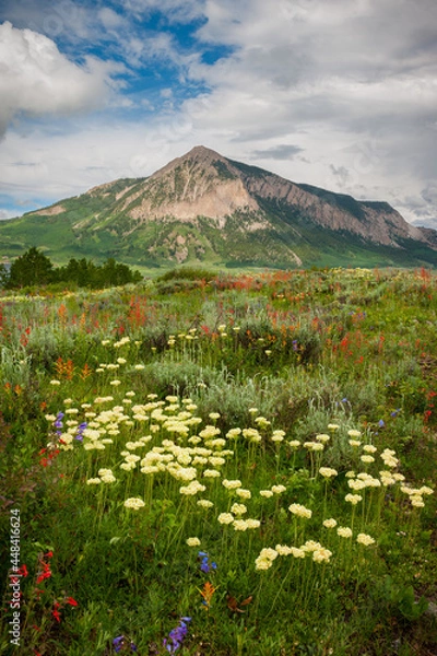 Obraz Crested Butte Mountain Summer