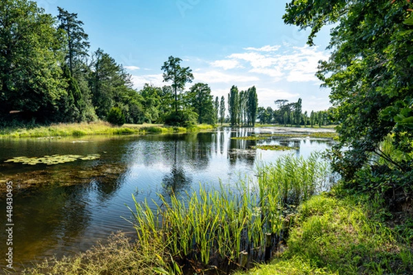 Obraz Wörlitzer Park