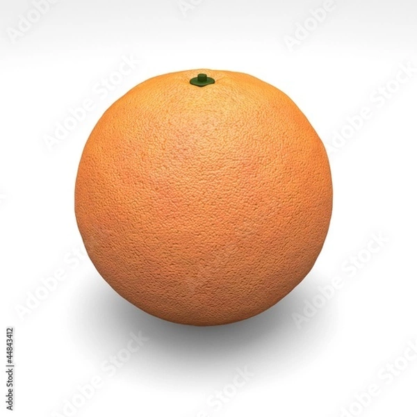 Obraz orange_1