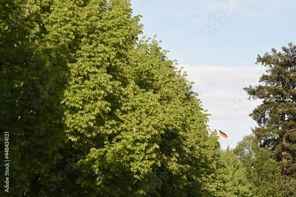 Obraz german flag in trees