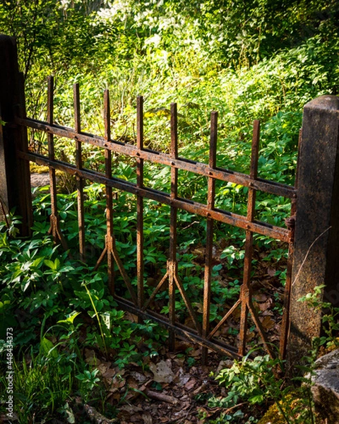 Obraz fence in a garden