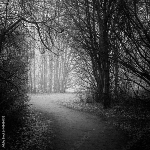 Obraz road in the fog