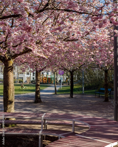 Obraz autumn in the park