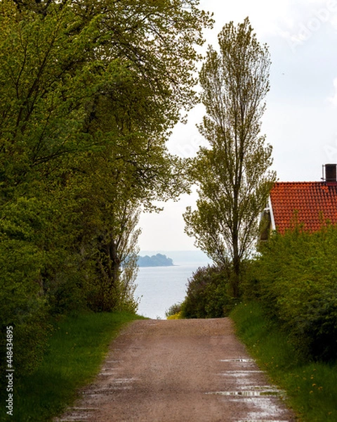Obraz path in the park