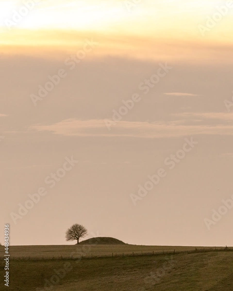Obraz sunrise over the field