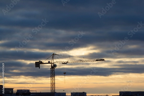 Obraz crane at sunset