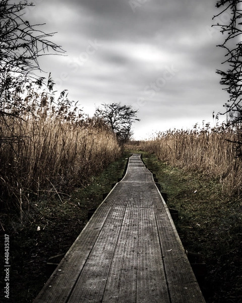 Obraz path to the sky