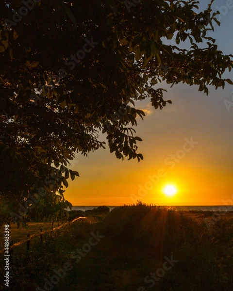 Obraz sunset over the field