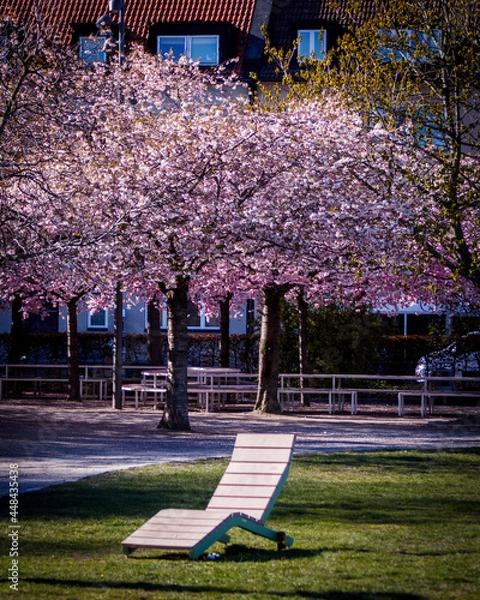 Obraz bench in the park