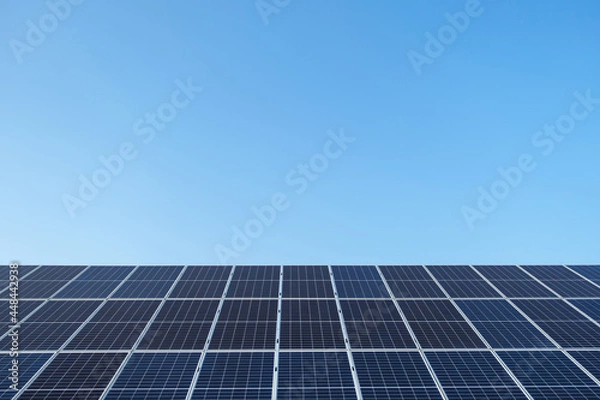 Fototapeta Row of solar panels on a solar farm under a blue sky. Solar power plant, an ecological alternative source of electricity. Front view, copy space