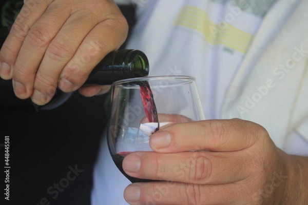 Obraz wine, vinho, taça