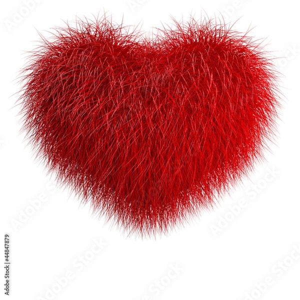 Obraz Heart from red fur
