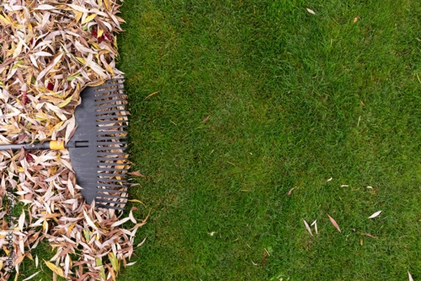 Obraz Pile of fall leaves with rake on lawn