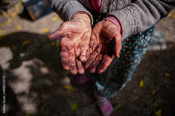 Fototapeta Close up portrait of an unrecognizable woman showing her palms full of labour marks over years.
